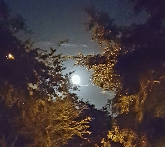 FULL MOON OF THE LIBRA CYCLE.  TAKEN BY WISE OWL BRENDA